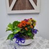 Dish Garden - Image 4